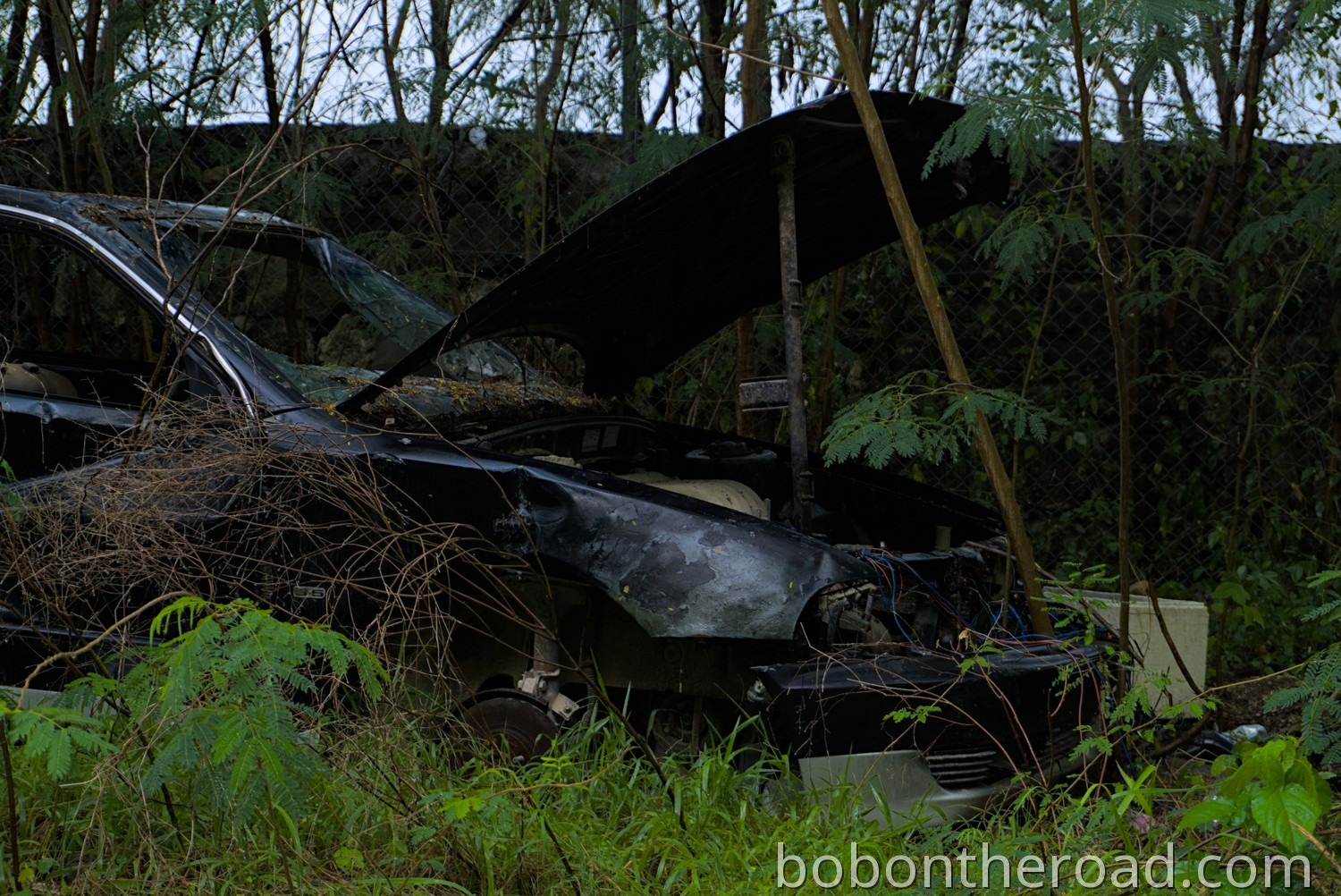 Autowracks in Nauru 02