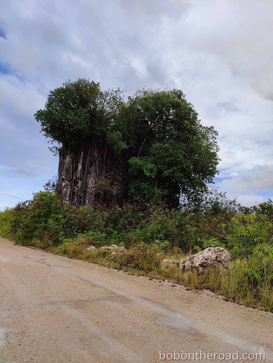 Nauru Kalksteinformation
