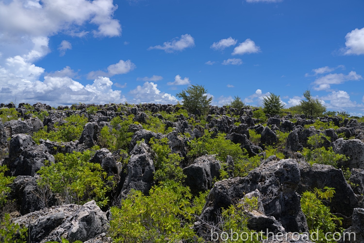 Nauru Landesinnere