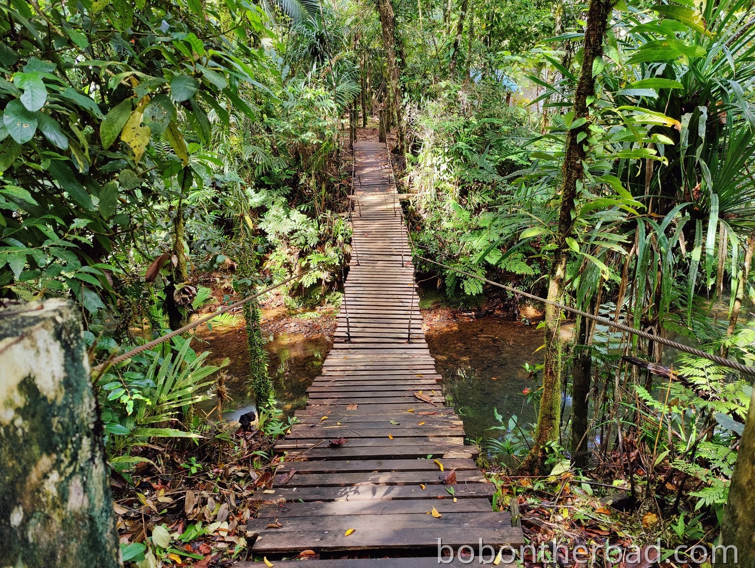 Ngardmau Waterfall Hike 01
