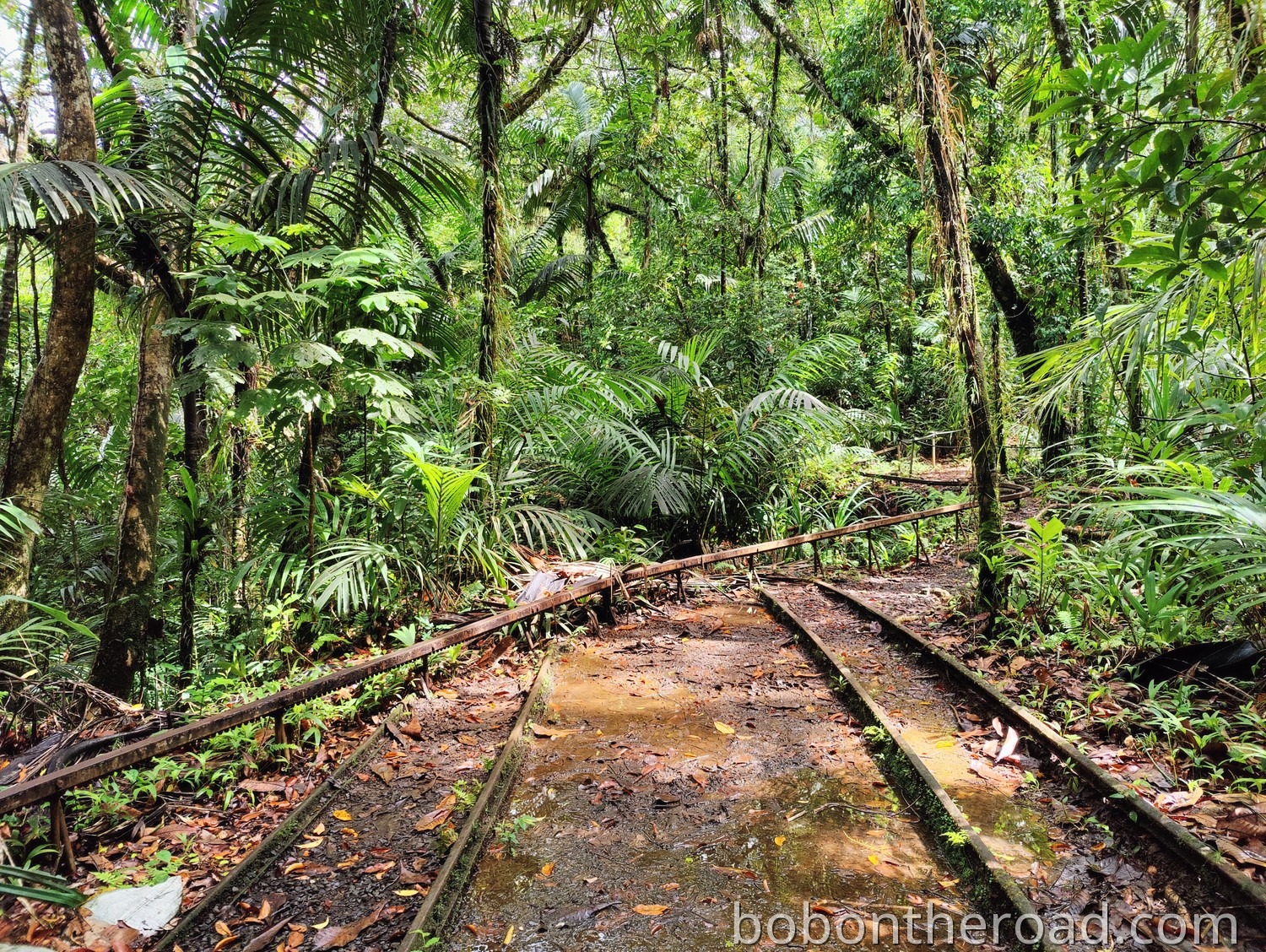 Palau Alte Lokomotive 01