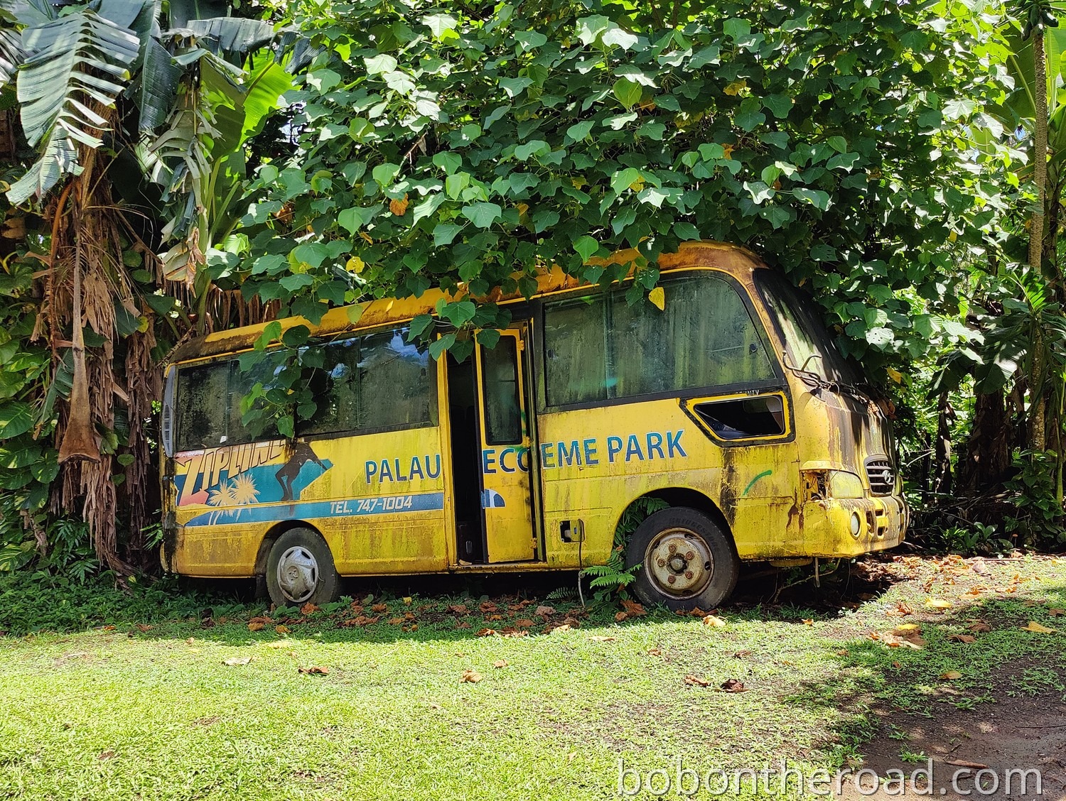 Palau Autowrack 02