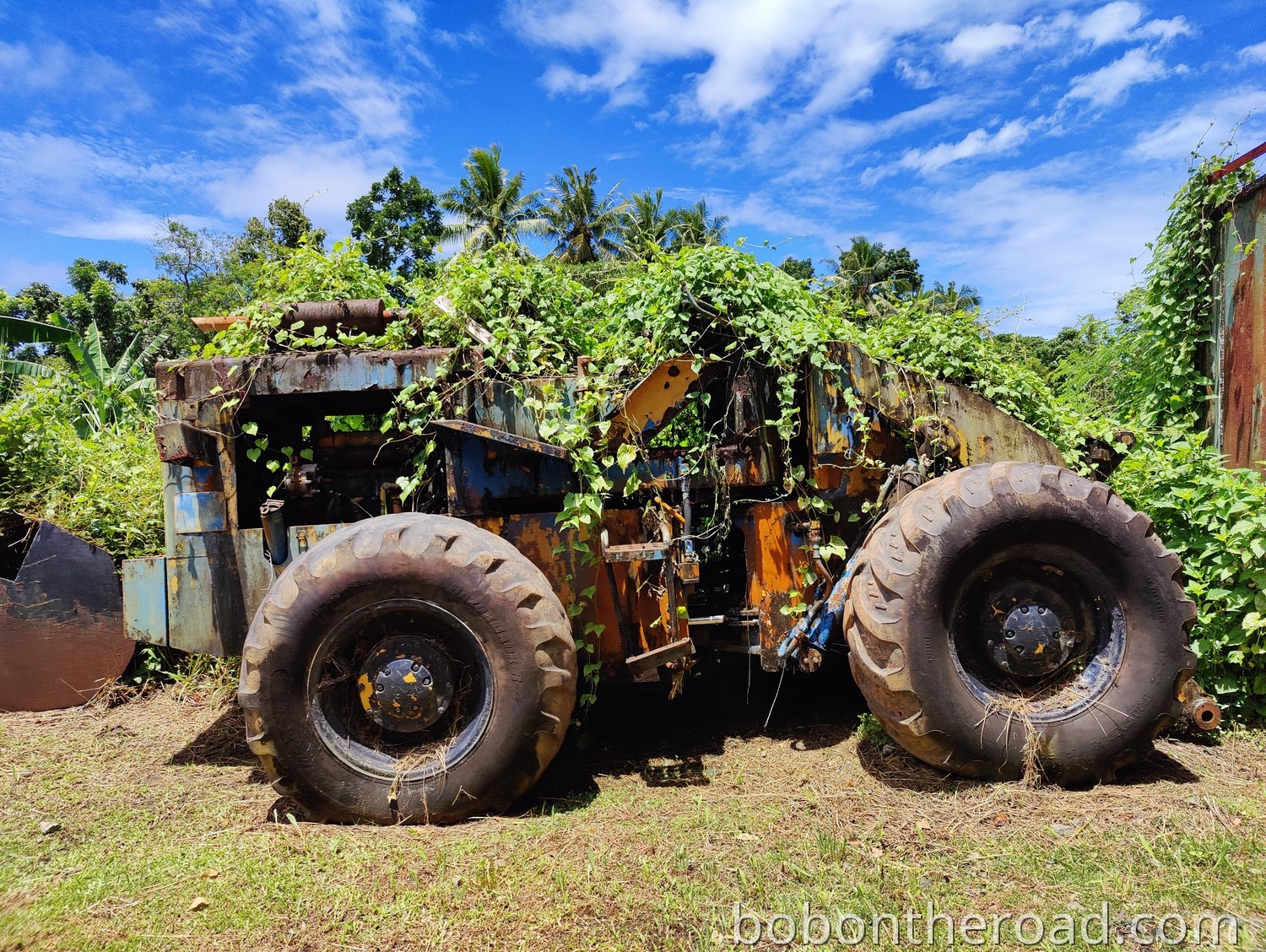 Palau Autowrack 03
