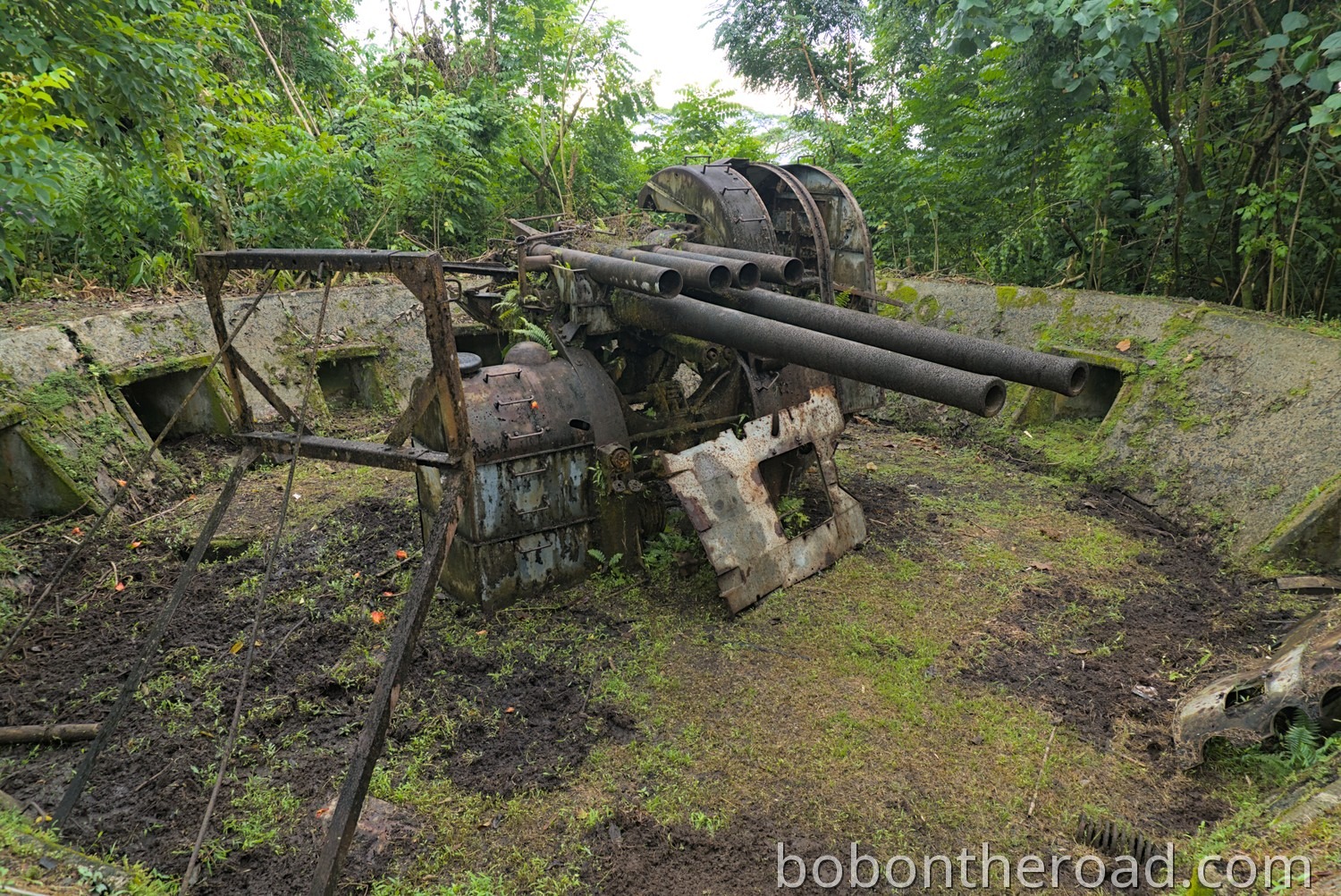 Pohnpei Japanese Anti-Aircraft Gun