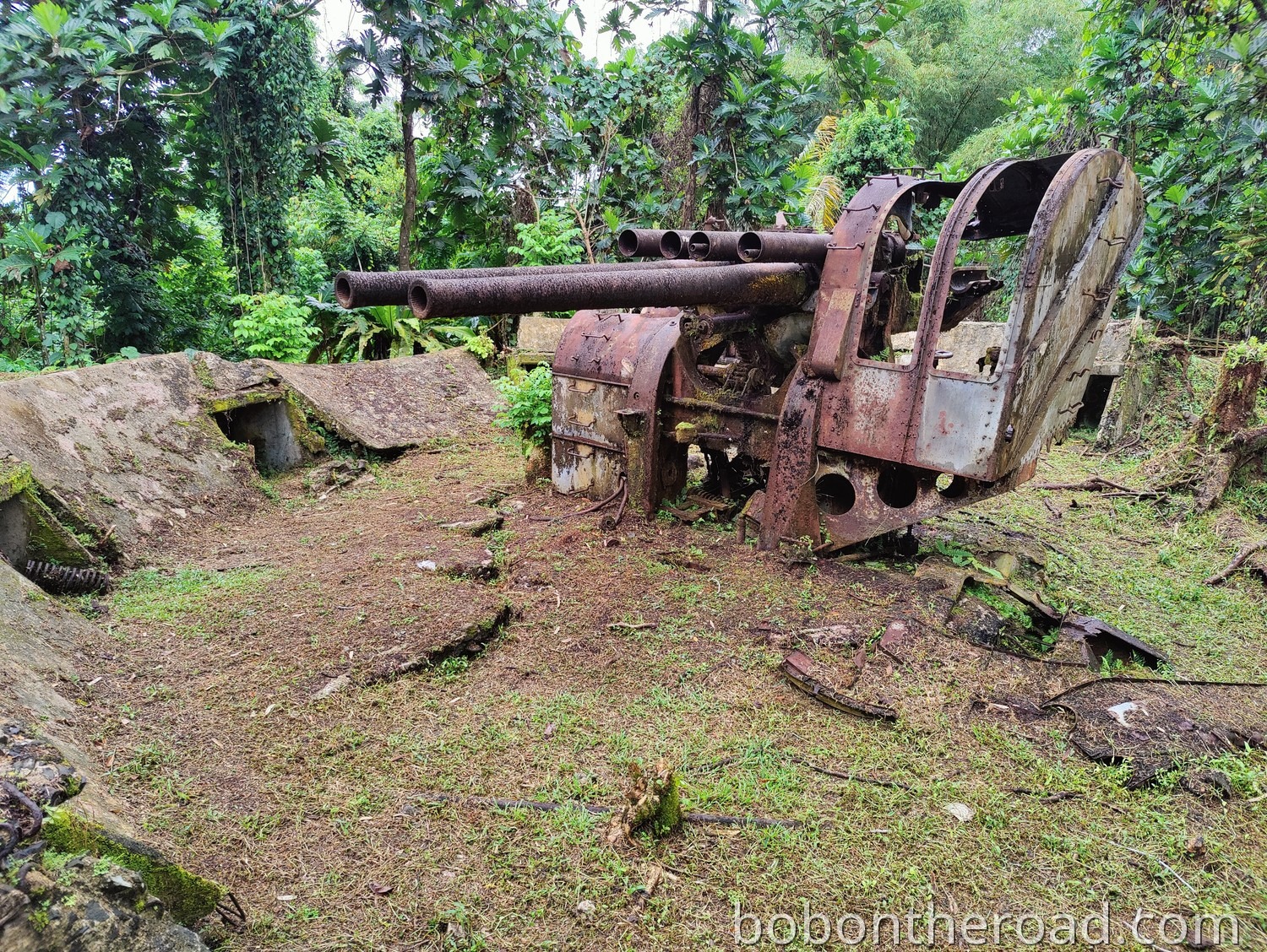 Pohnpei Japanese Anti-Aircraft Gun 02