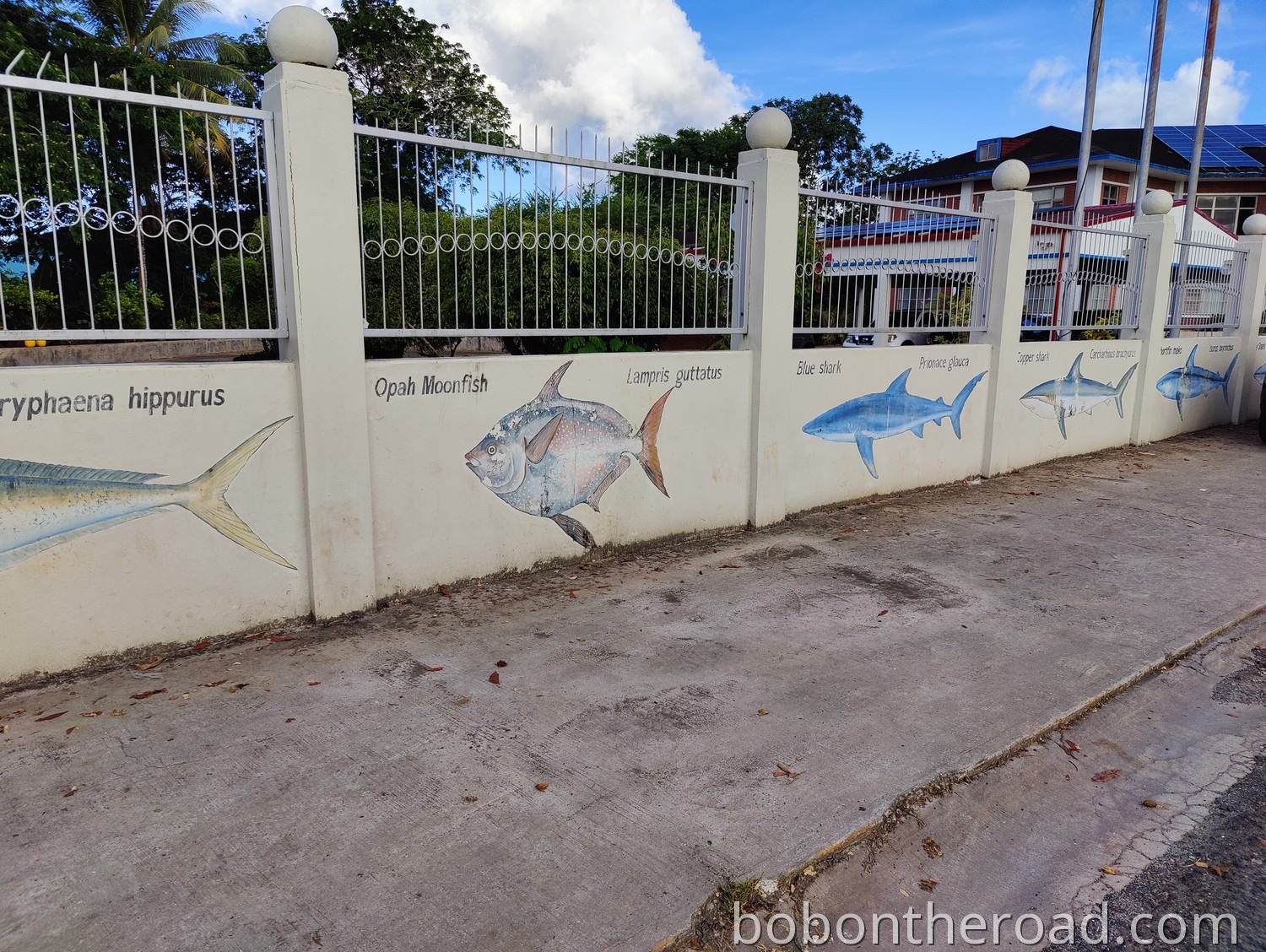 Pohnpei Kolonia 02