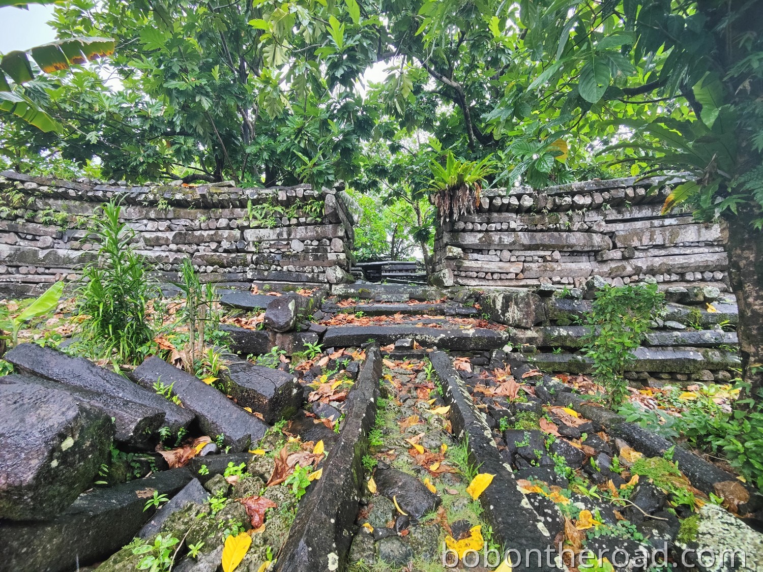 Pohnpei Nan Madol 02