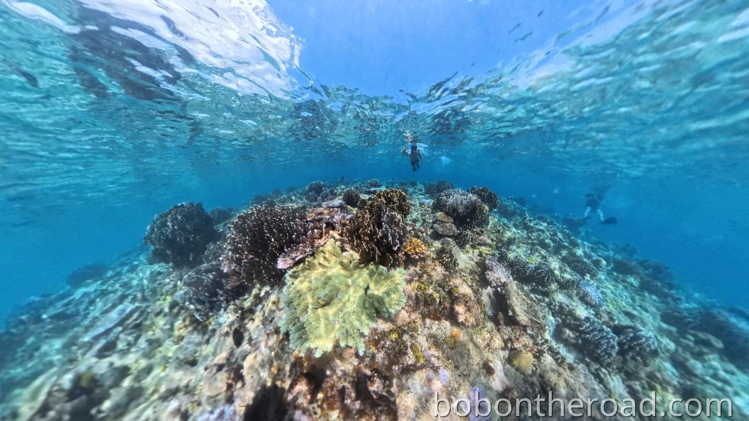 Pohnpei Schnorcheln 01