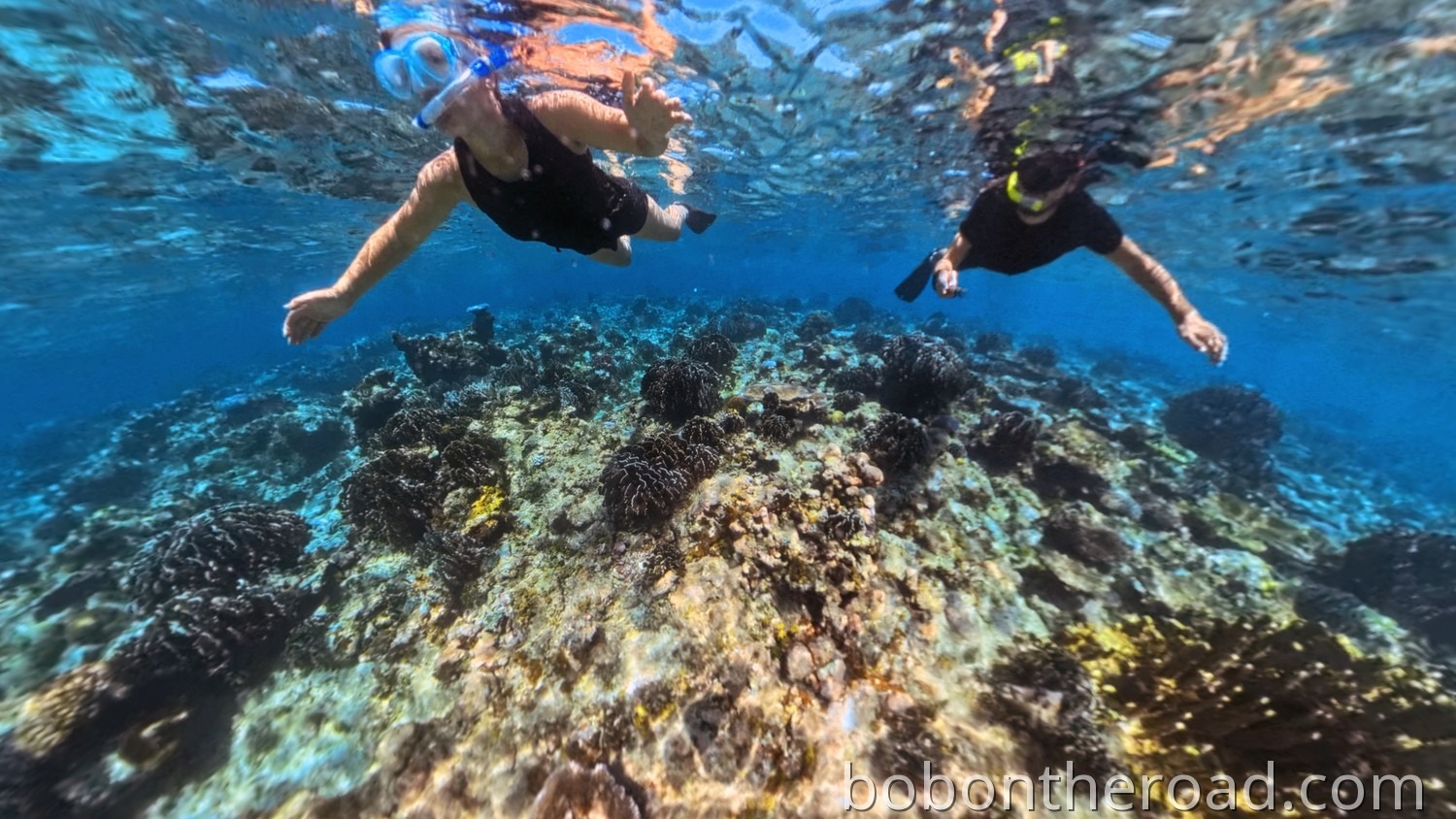 Pohnpei Schnorcheln 02