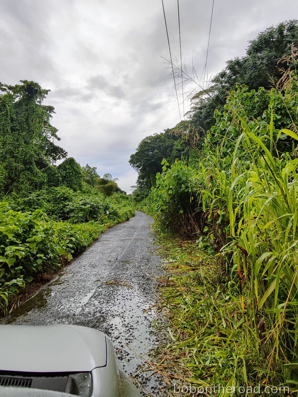 Pohnpei Straße 02